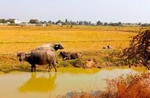 Countryside Village Life Cycling Tour