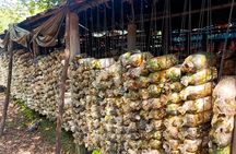 Countryside Village Life Cycling Tour