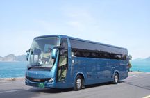 Naoshima Art Island Hassle-free Luxury Tour from Kyoto