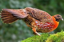 Lake Naivasha and Hell’s Gate Cycling Guided Adventure