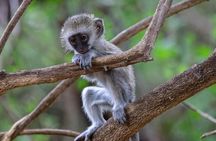 Lake Naivasha and Hell’s Gate Cycling Guided Adventure