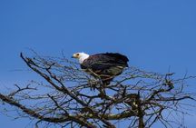 Lake Naivasha and Hell’s Gate Cycling Guided Adventure