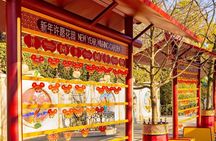 Shanghai Disneyland Experience Pass with Options