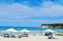 Half-Day Safari and City Tours