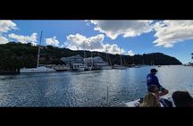 Sulphur Springs and Waterfall or Piton and Beach Boat Tour