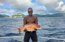 Sulphur Springs and Waterfall or Piton and Beach Boat Tour