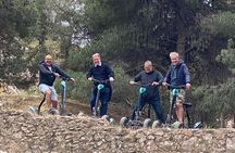Viewpoints of Athens Segway tour