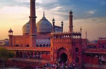 Delhi in One Day: Old & New Delhi Full Or Half-Day Tour