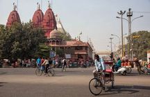Delhi in One Day: Old & New Delhi Full Or Half-Day Tour
