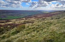Bronte Tour (Entrance Fees Included)