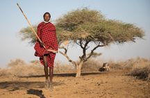 Maasai Village and Arusha City Tour