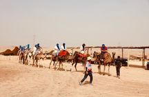 Agafay Desert Diner Show with Pool Quad and Camel Ride