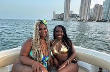 24 Ft Miami Bay: Private Boat, Gas Included , 6 people, Captained