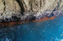 Ortigia Island Sea Caves and Plemmirio Boat Tour