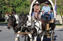 Historical Wagon Tours Heart of Buffalo