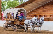 Historical Wagon Tours Heart of Buffalo