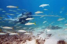 Private Beginner Scuba Diving Adventure with Free Videos