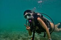 Private Beginner Scuba Diving Adventure with Free Videos