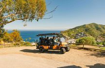 Experience Avalon Like a Local Private Golf Cart Adventure