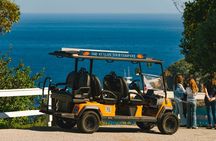 Experience Avalon Like a Local Private Golf Cart Adventure