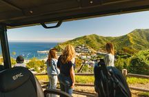 Experience Avalon Like a Local Private Golf Cart Adventure