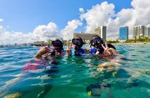 Waikiki Snorkel Tour – Small Group Experience + Free Videos