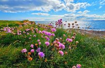 Customized and Fixed Tours of My Ireland Adventure.