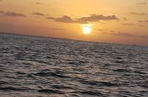 Sunset and Dolphin Tour Suriname