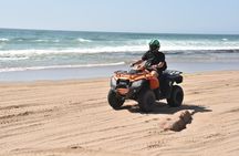 Agadir Quad Biking, Sandboarding & Camel Ride with Hotel Pickup