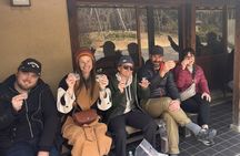 Nara Afternoon Sake guided walk: Brewery Visit & Local Streets