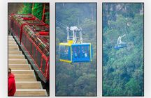 Private Blue Mountains Day Tour With Featherdale Tickets Included