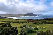 Bruny Island Essential Explorer Full Day Tour from Hobart