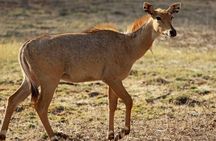 Private 4-Day New Delhi Tour with Transportation by Car