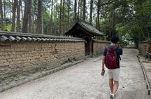 Nara: Yakushiji Tour – Toshodaiji or Sutra Copying Option