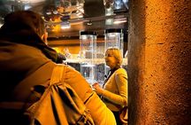 Small-group Rynek Underground Museum Guided Tour in Krakow