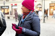 Wawel Castle and Cathedral with St Mary Basilica tour