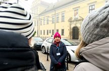 Wawel Castle and Cathedral with St Mary Basilica tour