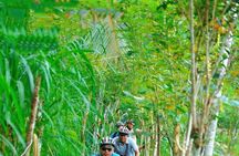 Bali Mountains and Villages Cycling Tour