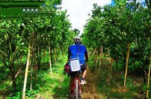 Bali Mountains and Villages Cycling Tour