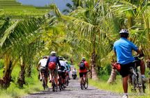 Bali Mountains and Villages Cycling Tour