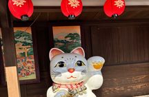 Ise & Toba Highlight Tour guided by a friendly local