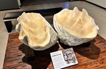 Ise & Toba Highlight Tour guided by a friendly local