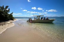 Mangrove Boat Tour Small Group Guadeloupe
