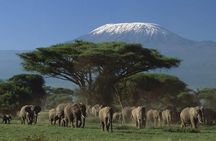 3 days Tsavo East and Amboseli Safari from Diani Mombasa