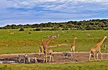 3 days Tsavo East and Amboseli Safari from Diani Mombasa