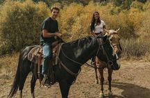 1 Hour Guided Horseback Riding Adventure