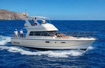Discover whales in Tenerife: yacht tour with bath and lunch