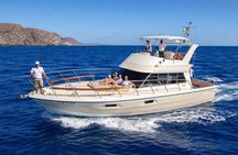 Discover whales in Tenerife: yacht tour with bath and lunch