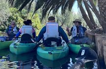 Mexico City Kayak along Xochimilco´s canals-Nature & Culture tour