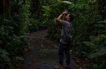 Monteverde Wildlife Discovery with Local Naturalist Guide